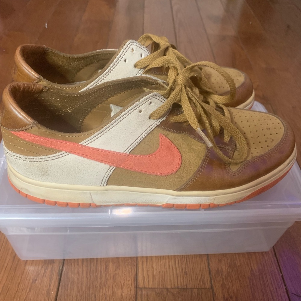 Rare Nike Dunk Low